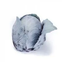 Капуста краснокочанная РЕДМА F1 (1000 семян) (NS) Rijk Zwaan