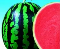 Арбуз СИД ЗЕРО F1 (1000 семян) Nongwoo Bio